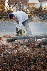 Image showing Man Cuts Tree Limbs with a Chainsaw