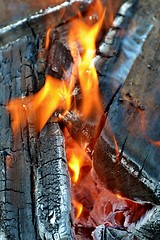 Image showing wood fire