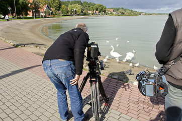 Image showing Operator shooting the water birds swans pigeons