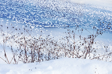 Image showing Winter scene