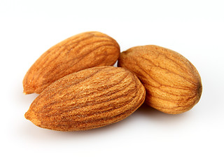 Image showing Kernel of almonds