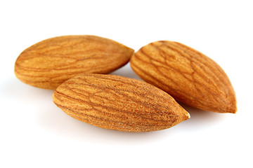 Image showing Dried kernel of almond