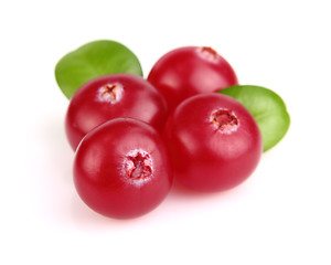 Image showing Berries of cranberry