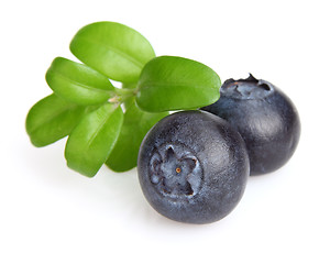Image showing Berry of blueberry with leaves
