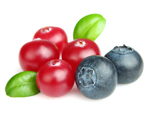 Image showing Cranberry with blueberry