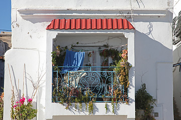 Image showing Botanical balcony