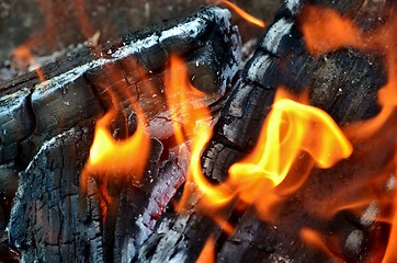 Image showing wood fire