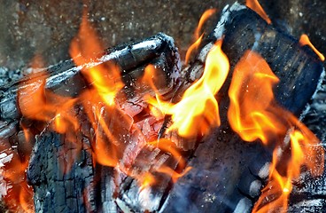 Image showing wood fire