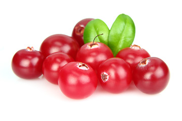 Image showing Ripe cowberry