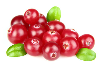 Image showing Fresh cranberry with leaves