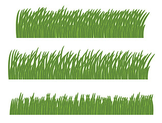 Image showing green grass