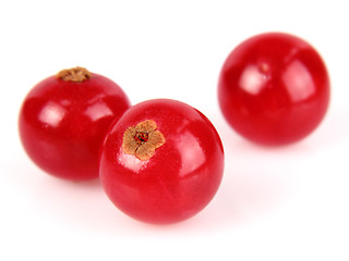 Image showing Red currant in closeup