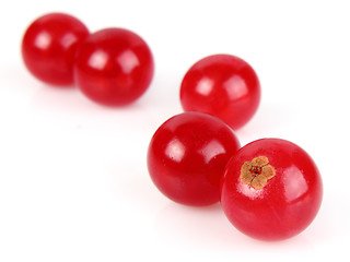 Image showing Currant in closeup