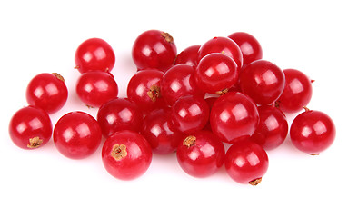 Image showing Fresh currant