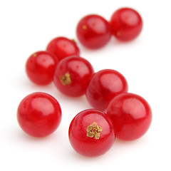 Image showing Ripe berry