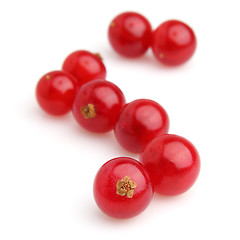 Image showing Fresh currant