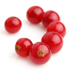 Image showing Ripe currant