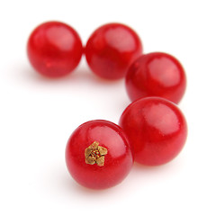 Image showing Red currant in closeup