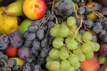 Image showing Ripe apples and bunch of grapes