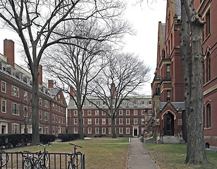 Image showing Harvard Yard in Cambridge