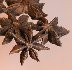 Image showing spicy star-anise