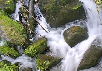 Image showing Triberg Waterfalls detail