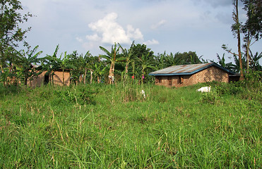 Image showing around Rwenzori Mountains