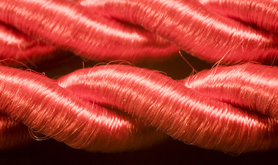 Image showing red cord detail