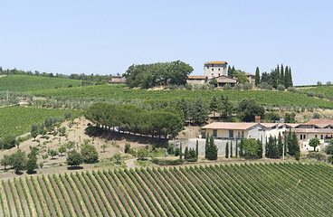 Image showing Chianti in Tuscany