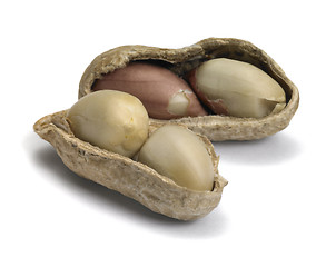 Image showing two open peanuts