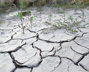 Image showing chapped desert border