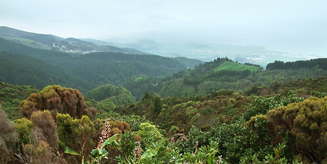 Image showing panoramic coastal scenery at the Azores