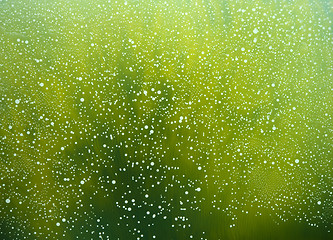 Image showing white bubbles in green back