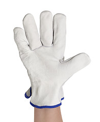 Image showing gloved hand