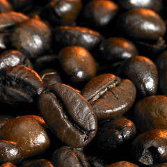 Image showing coffee beans closeup