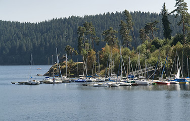 Image showing Schluchsee waterside scenery