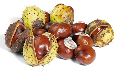 Image showing horse chestnuts