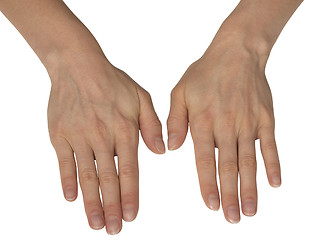 Image showing feminine hands