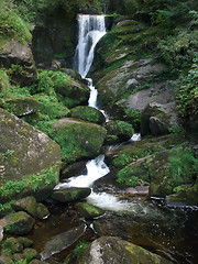 Image showing idyllic Triberg Waterfalls