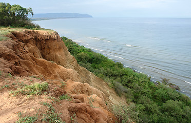 Image showing sunny scenery around Lake Albert