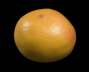 Image showing grapefruit