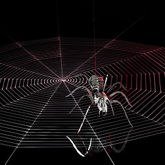 Image showing metal spider and spiderweb