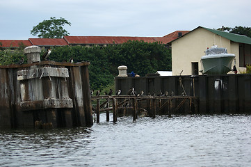Image showing house at the Lake Victoria