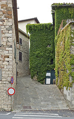 Image showing Radda in Chianti