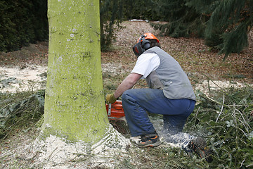 Image showing lumberman at work