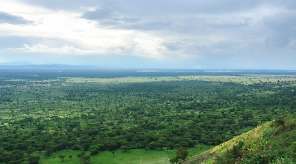 Image showing around Bwindi Impenetrable Forest in Africa