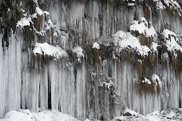 Image showing lots of icicles