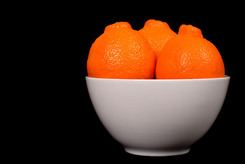 Image showing Three minneola oranges in white bowl
