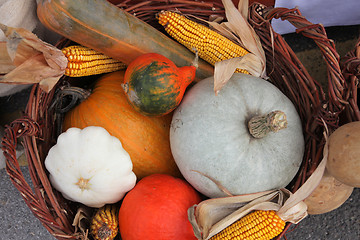 Image showing Autumn Harvest