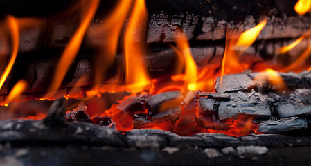 Image showing Bonfire close-up view